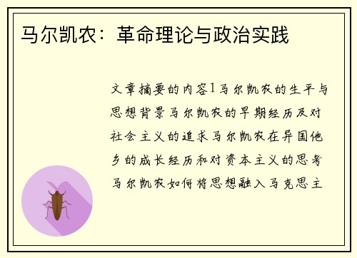 马尔凯农：革命理论与政治实践