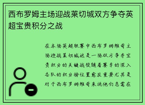 西布罗姆主场迎战莱切城双方争夺英超宝贵积分之战